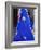 Sari Woman, New Delhi, India-Bill Bachmann-Framed Photographic Print