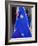 Sari Woman, New Delhi, India-Bill Bachmann-Framed Photographic Print