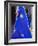 Sari Woman, New Delhi, India-Bill Bachmann-Framed Photographic Print