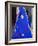 Sari Woman, New Delhi, India-Bill Bachmann-Framed Photographic Print