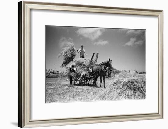 Sark, Channel Islands July 1947-Staff-Framed Photographic Print