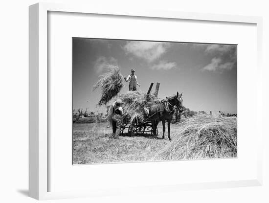 Sark, Channel Islands July 1947-Staff-Framed Photographic Print