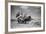 Sark, Channel Islands July 1947-Staff-Framed Photographic Print