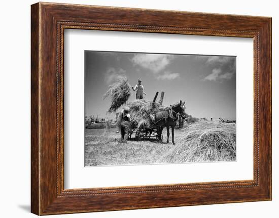 Sark, Channel Islands July 1947-Staff-Framed Photographic Print