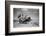 Sark, Channel Islands July 1947-Staff-Framed Photographic Print