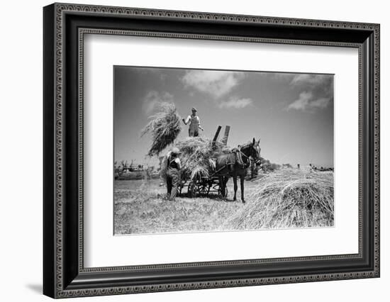 Sark, Channel Islands July 1947-Staff-Framed Photographic Print