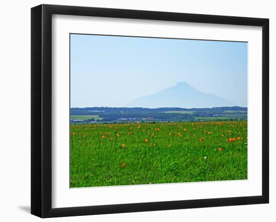 Sarobetsu Meadow-null-Framed Photographic Print
