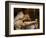 Sarod Player, India-John Henry Claude Wilson-Framed Photographic Print