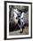 Sartiglia, Oristano, Island of Sardinia, Italy, Mediterranean-Oliviero Olivieri-Framed Photographic Print