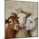 Premium Giclee Print