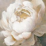 Peony Poses II-null-Giclee Print