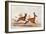 Sassaby and Hartebeest-William Cornwallis Harris-Framed Giclee Print