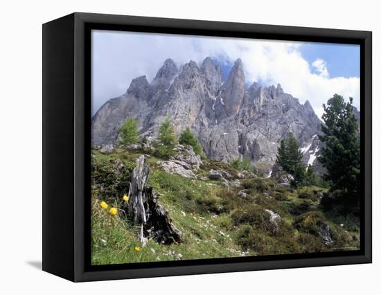 Sassolungo Range, 3181M, Val Gardena, Dolomites, Alto Adige, Italy-Richard Nebesky-Framed Premier Image Canvas