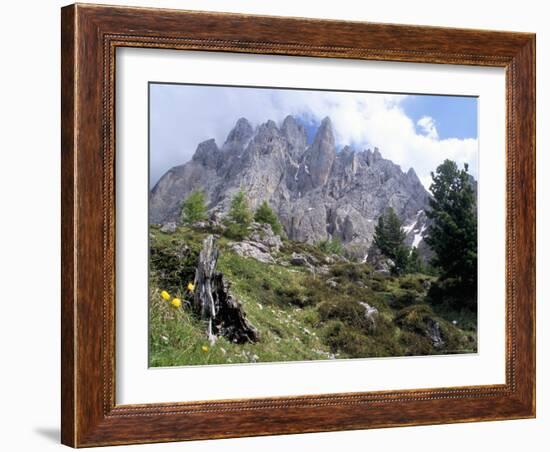 Sassolungo Range, 3181M, Val Gardena, Dolomites, Alto Adige, Italy-Richard Nebesky-Framed Photographic Print