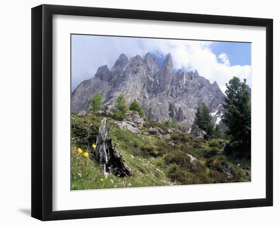 Sassolungo Range, 3181M, Val Gardena, Dolomites, Alto Adige, Italy-Richard Nebesky-Framed Photographic Print