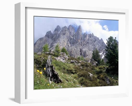 Sassolungo Range, 3181M, Val Gardena, Dolomites, Alto Adige, Italy-Richard Nebesky-Framed Photographic Print