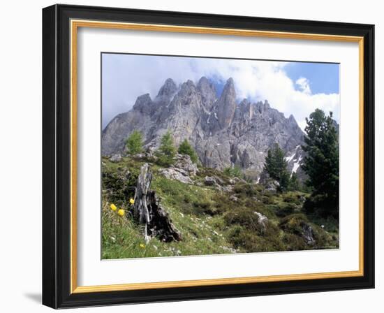 Sassolungo Range, 3181M, Val Gardena, Dolomites, Alto Adige, Italy-Richard Nebesky-Framed Photographic Print