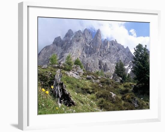 Sassolungo Range, 3181M, Val Gardena, Dolomites, Alto Adige, Italy-Richard Nebesky-Framed Photographic Print