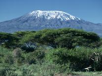 Mount Kilimanjaro, Tanzania, East Africa, Africa-Sassoon Sybil-Framed Premier Image Canvas