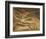 Satan Exulting over Eve-William Blake-Framed Art Print