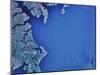 Satellite Image of Chesapeake Bay and Annapolis, Maryland-Stocktrek Images-Mounted Photographic Print