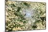 Satellite Image of Paris-PLANETOBSERVER-Mounted Photographic Print