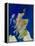 Satellite Image of Scotland-PLANETOBSERVER-Framed Premier Image Canvas