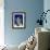 Satellite Image of Scotland-PLANETOBSERVER-Framed Photographic Print displayed on a wall