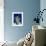 Satellite Image of Scotland-PLANETOBSERVER-Framed Photographic Print displayed on a wall