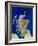 Satellite Image of Scotland-PLANETOBSERVER-Framed Photographic Print