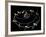 Satellite Launch Sequence Diagram-David Ducros-Framed Photographic Print