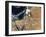 Satellite View of a Rare Winter Storm across Much of the Middle East-null-Framed Photographic Print