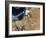Satellite View of a Rare Winter Storm across Much of the Middle East-null-Framed Photographic Print