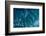 Satellite view of Atlantic Ocean near Elethura, Bahamas-null-Framed Photographic Print