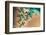 Satellite view of Balkan coastal area of Turkmenistan-null-Framed Photographic Print