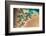 Satellite view of Balkan coastal area of Turkmenistan-null-Framed Photographic Print