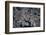 Satellite view of Baltimore, Maryland, USA-null-Framed Photographic Print