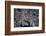 Satellite view of Baltimore, Maryland, USA-null-Framed Photographic Print