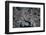 Satellite view of Baltimore, Maryland, USA-null-Framed Photographic Print