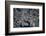 Satellite view of Baltimore, Maryland, USA-null-Framed Photographic Print