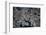 Satellite view of Baltimore, Maryland, USA-null-Framed Photographic Print