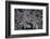 Satellite view of Baltimore, Maryland, USA-null-Framed Photographic Print