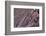 Satellite view of Big Horn, Wyoming, USA-null-Framed Photographic Print