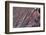 Satellite view of Big Horn, Wyoming, USA-null-Framed Photographic Print