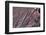 Satellite view of Big Horn, Wyoming, USA-null-Framed Photographic Print