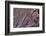 Satellite view of Big Horn, Wyoming, USA-null-Framed Photographic Print