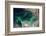 Satellite view of Caspian Sea and Coastal Area, Kazakhstan-null-Framed Photographic Print