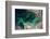 Satellite view of Caspian Sea and Coastal Area, Kazakhstan-null-Framed Photographic Print