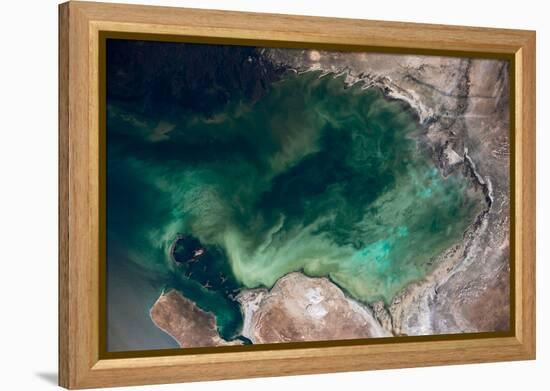 Satellite view of Caspian Sea and Coastal Area, Kazakhstan-null-Framed Premier Image Canvas