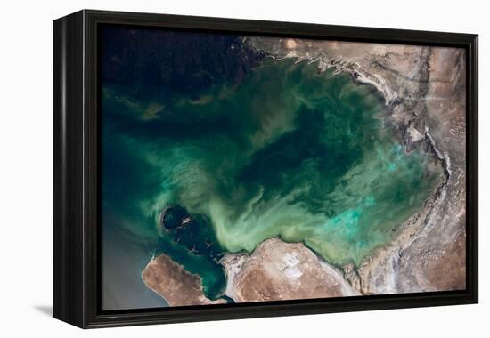 Satellite view of Caspian Sea and Coastal Area, Kazakhstan-null-Framed Premier Image Canvas